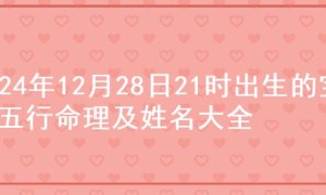 2024年12月28日21时出生的宝宝五行命理及姓名大全