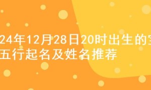 2024年12月28日20时出生的宝宝五行起名及姓名推荐