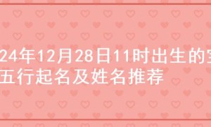 2024年12月28日11时出生的宝宝五行起名及姓名推荐