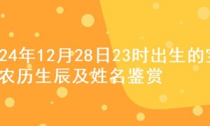 2024年12月28日23时出生的宝宝农历生辰及姓名鉴赏