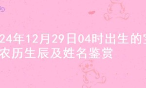 2024年12月29日04时出生的宝宝农历生辰及姓名鉴赏