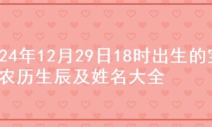 2024年12月29日18时出生的宝宝农历生辰及姓名大全