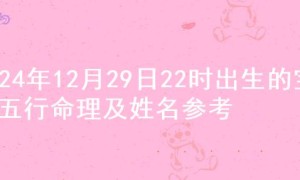 2024年12月29日22时出生的宝宝五行命理及姓名参考