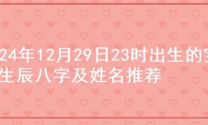 2024年12月29日23时出生的宝宝生辰八字及姓名推荐