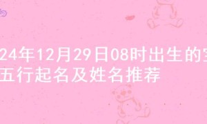 2024年12月29日08时出生的宝宝五行起名及姓名推荐