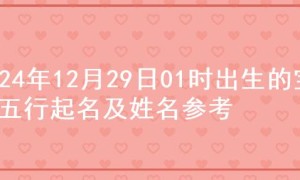 2024年12月29日01时出生的宝宝五行起名及姓名参考