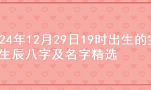 2024年12月29日19时出生的宝宝生辰八字及名字精选
