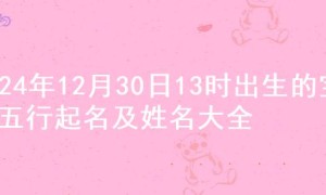 2024年12月30日13时出生的宝宝五行起名及姓名大全