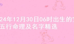 2024年12月30日06时出生的宝宝五行命理及名字精选