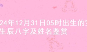 2024年12月31日05时出生的宝宝生辰八字及姓名鉴赏