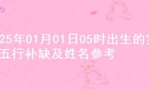2025年01月01日05时出生的宝宝五行补缺及姓名参考