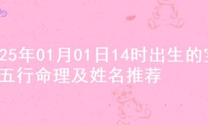 2025年01月01日14时出生的宝宝五行命理及姓名推荐