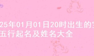 2025年01月01日20时出生的宝宝五行起名及姓名大全