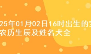 2025年01月02日16时出生的宝宝农历生辰及姓名大全