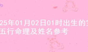 2025年01月02日01时出生的宝宝五行命理及姓名参考