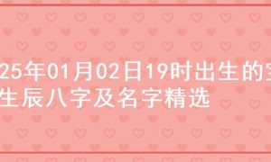 2025年01月02日19时出生的宝宝生辰八字及名字精选