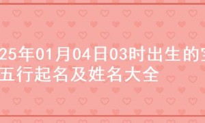 2025年01月04日03时出生的宝宝五行起名及姓名大全