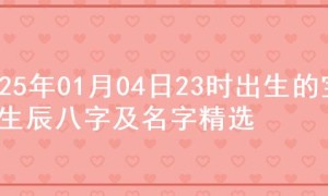 2025年01月04日23时出生的宝宝生辰八字及名字精选
