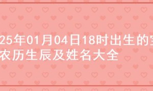 2025年01月04日18时出生的宝宝农历生辰及姓名大全