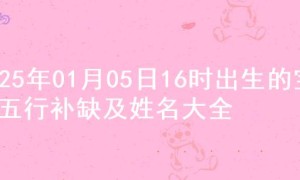 2025年01月05日16时出生的宝宝五行补缺及姓名大全