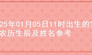 2025年01月05日11时出生的宝宝农历生辰及姓名参考
