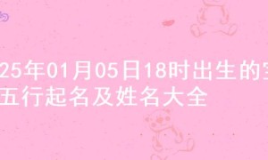 2025年01月05日18时出生的宝宝五行起名及姓名大全