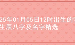 2025年01月05日12时出生的宝宝生辰八字及名字精选