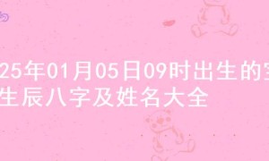 2025年01月05日09时出生的宝宝生辰八字及姓名大全