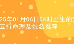 2025年01月06日04时出生的宝宝五行命理及姓名推荐