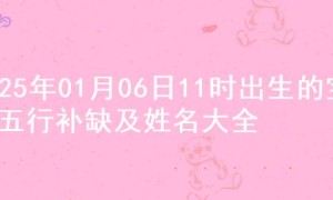 2025年01月06日11时出生的宝宝五行补缺及姓名大全