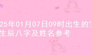 2025年01月07日09时出生的宝宝生辰八字及姓名参考