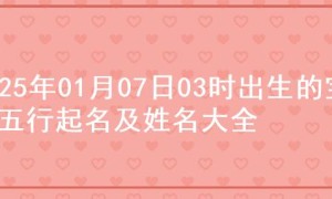 2025年01月07日03时出生的宝宝五行起名及姓名大全