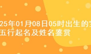 2025年01月08日05时出生的宝宝五行起名及姓名鉴赏
