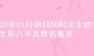 2025年01月08日00时出生的宝宝生辰八字及姓名鉴赏