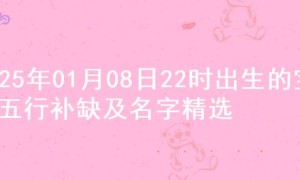 2025年01月08日22时出生的宝宝五行补缺及名字精选