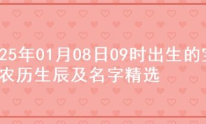 2025年01月08日09时出生的宝宝农历生辰及名字精选