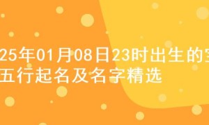 2025年01月08日23时出生的宝宝五行起名及名字精选