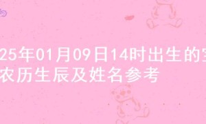 2025年01月09日14时出生的宝宝农历生辰及姓名参考