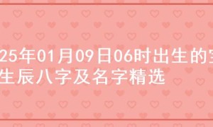 2025年01月09日06时出生的宝宝生辰八字及名字精选