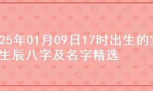 2025年01月09日17时出生的宝宝生辰八字及名字精选