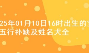 2025年01月10日16时出生的宝宝五行补缺及姓名大全