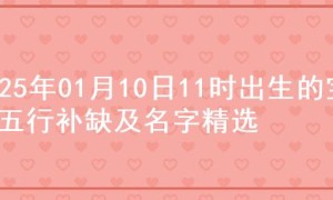 2025年01月10日11时出生的宝宝五行补缺及名字精选