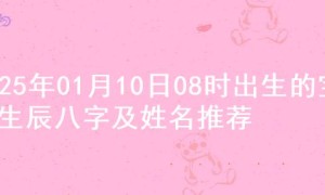 2025年01月10日08时出生的宝宝生辰八字及姓名推荐