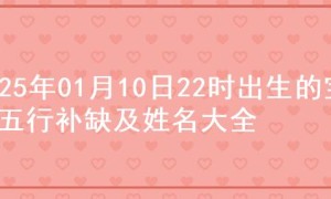 2025年01月10日22时出生的宝宝五行补缺及姓名大全