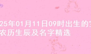 2025年01月11日09时出生的宝宝农历生辰及名字精选