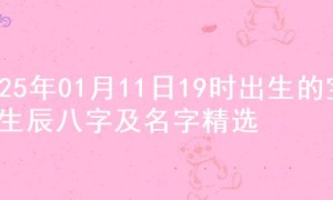 2025年01月11日19时出生的宝宝生辰八字及名字精选