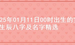 2025年01月11日00时出生的宝宝生辰八字及名字精选