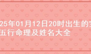 2025年01月12日20时出生的宝宝五行命理及姓名大全