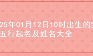 2025年01月12日10时出生的宝宝五行起名及姓名大全