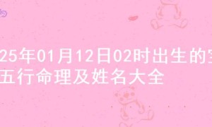 2025年01月12日02时出生的宝宝五行命理及姓名大全